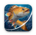 Fishing Hook Mod Apk (Uang Tak Terbatas) v2.5.5 untuk Android