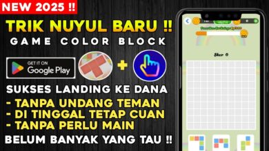 Cara NUYUL Game Color Block Dengan Trik Auto Click Langsung Cair