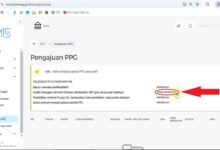 Cara Atasi TMT Tidak Memenuhi Pada Pengajuan PPG di EMIS 4.0